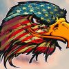 American Bald Eagle Paint by numbers