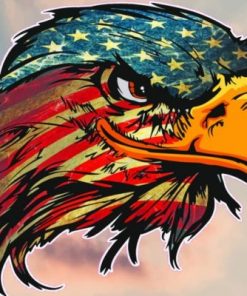 American Bald Eagle Paint by numbers