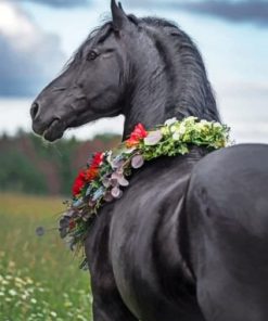 Sorrel Arabian Horse - Paint By Numbers