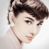 Audrey Hepburn Stunning Eyes Paint by numbers