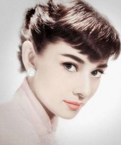 Audrey Hepburn Stunning Eyes Paint by numbers