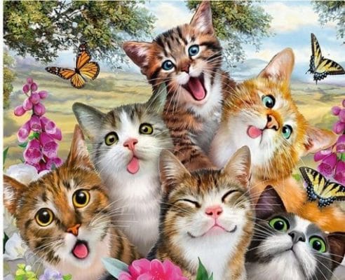 Funny Cats with Butterflies Paint by numbers