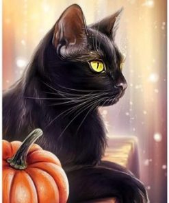 Black Cat paint by numbers