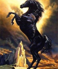 Black Arabian Horse - Paint By Numbers