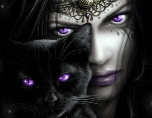 witch with a black cat paint by numbers