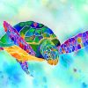 Colorful-Turtle-paint-by-numbers