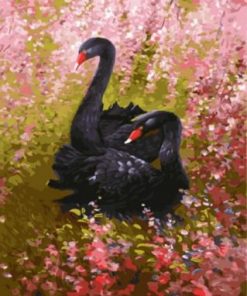 black swan paint by numbers