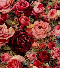 Aesthetic Red And Pink Roses Paint by numbers