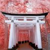 Fushimi Inari Taisha Paint by Numbers