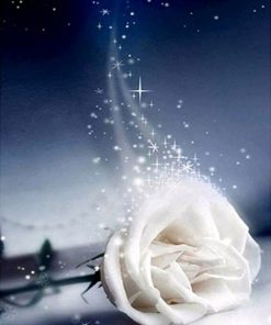 Good-Night-White-Rose-DIY-Flowers-Paint-By-Numbers-PBN-22401