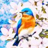 Blue Birds On Flowers Paint by numbers