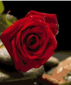 Shiny red rose paint by numbers