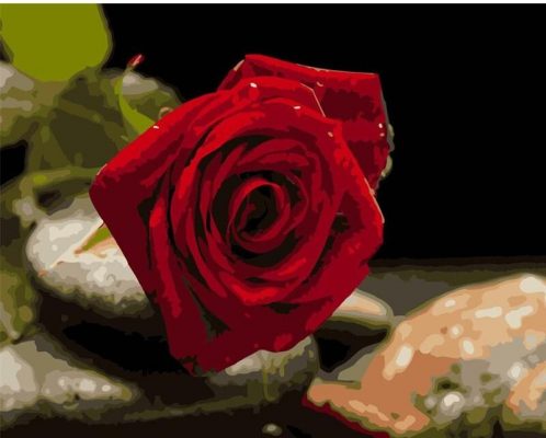 Shiny red rose paint by numbers