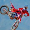 Ken Roczen Motorcycle paint by numbers