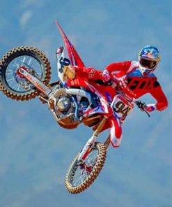 Ken Roczen Motorcycle paint by numbers