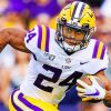 Derek Stingley Jr Paint by numbers