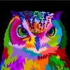 Peinture-par-num-ro-art-peinture-par-num-ros-tre-riotous-avec-couleur-chat-chien-cheval-1.jpg_640x640_3-1