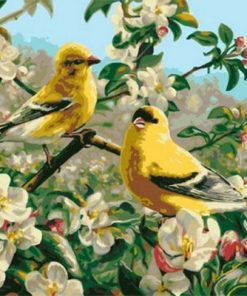 Goldfinch Birds Paint by numbers