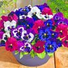 Purple Pansy Plants Paint by numbers