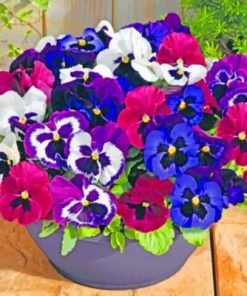 Purple Pansy Plants Paint by numbers