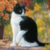 Black and White Cat Paint by numbers
