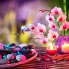 Spa Orchid Flower paint by numbers