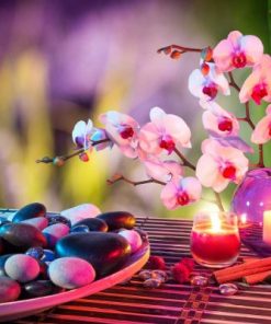 Spa Orchid Flower paint by numbers