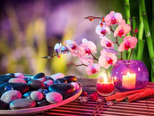 Spa Orchid Flower paint by numbers