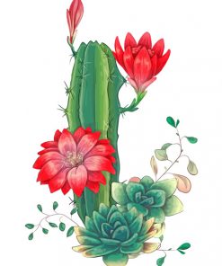 Succulents And Red Roses Paint by numbers