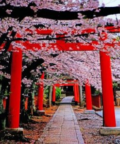 Takenaka Inari Jinja Shrine Paint by numbers