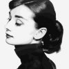 Audrey Hepburn In Black Paint by numbers