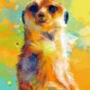 Abstract Meerkat Paint by numbers