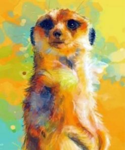 Abstract Meerkat Paint by numbers