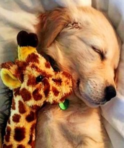 Adorable Golden Retriever Paint by numbers