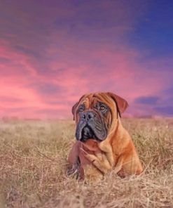 Aesthetic Bullmastiff Paint by numbers