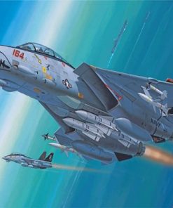 Aesthetic F14 Paint by numbers