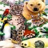 Wild Animals Illustrations paint by numbers