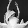 Aesthetic Ballerina paint by numbers