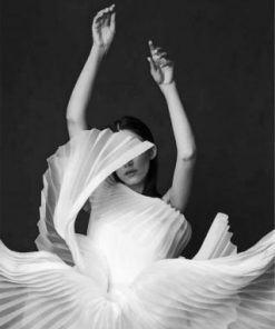 Aesthetic Ballerina paint by numbers