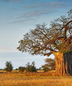 aesthetic baobab tree paint by numbers