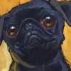 Aesthetic Black Pug Paint by numbers