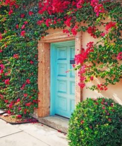 Aesthetic Cyan Door And Bougainvillea Paint by numbers