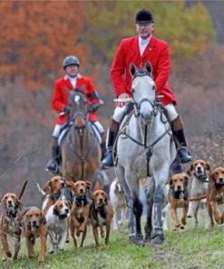Aesthetic Fox Hunt Paint by numbers