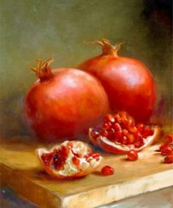 Aesthetic Pomegranate Paint by numbers