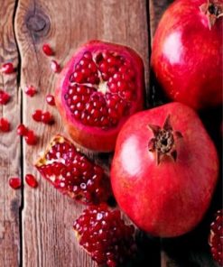 Aesthetic Pomegranate Paint by numbers