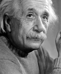 Albert Einstein paint by numbers