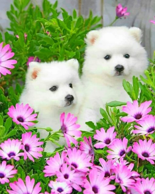 american-eskimo-dog-with-daisy-flowers-paint-by-numbers