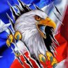 American Flag Eagle Paint by numbers