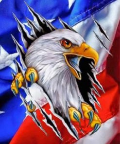 American Flag Eagle Paint by numbers