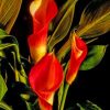 Arum Lilies paint by numbers